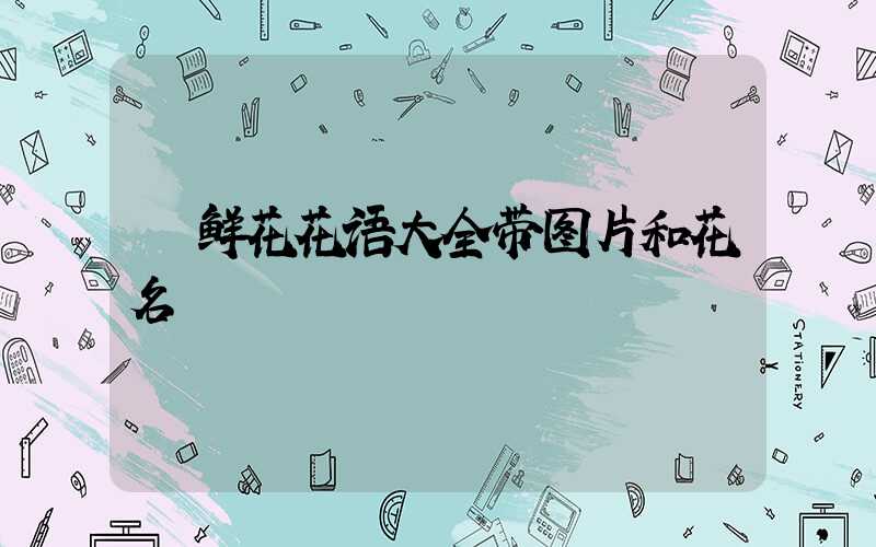  鲜花花语大全带图片和花名